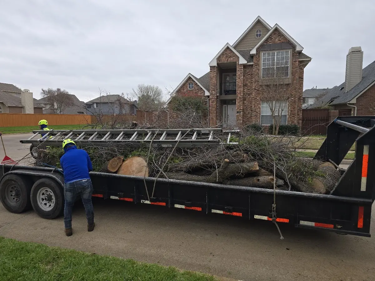 Expert Tree Fertilization with proper safety equipment in Thiells